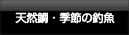 季節のお料理